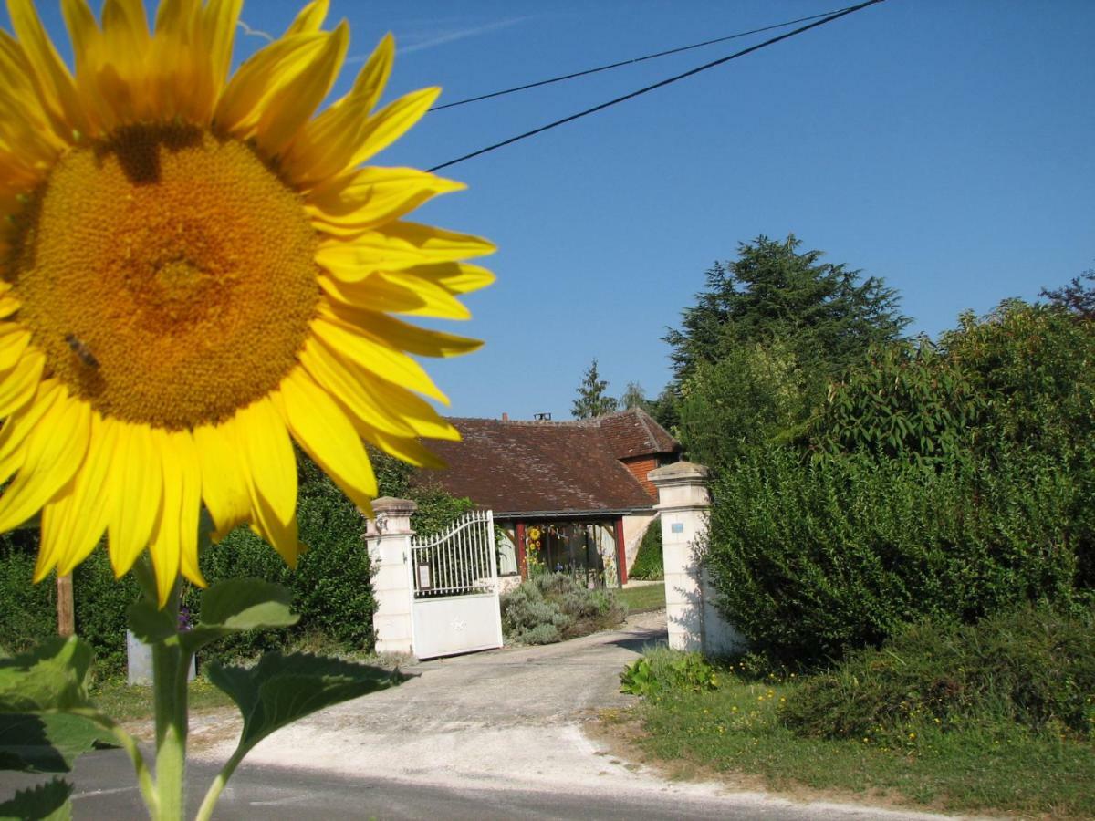 Le Clos Du Petit Marray Bed & Breakfast Chambourg-sur-Indre Luaran gambar